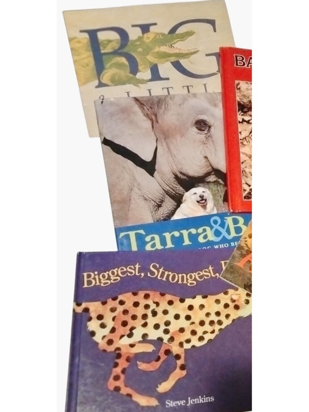 Wildlife Animal Childrens Book Lot 8